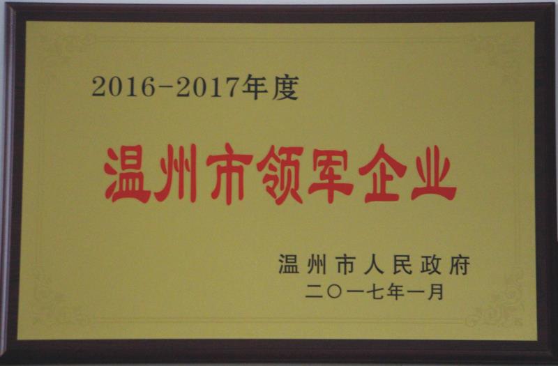 2017年溫州市領軍企業(yè)